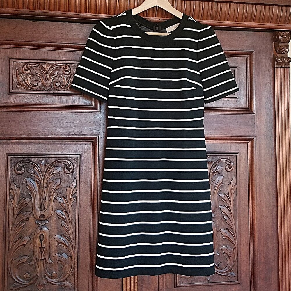 NWOT Loft Striped A-Line Dress